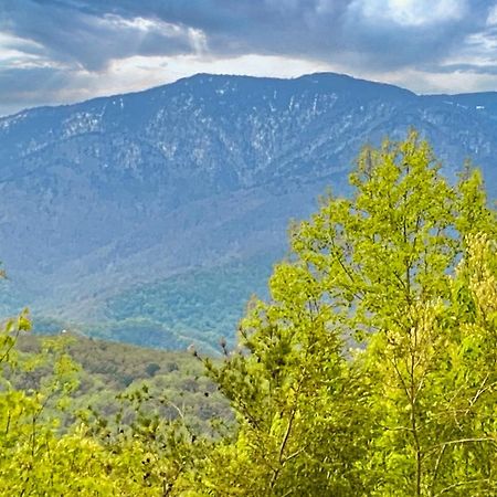 Amazing Views Villa Гетлинбург Стая снимка
