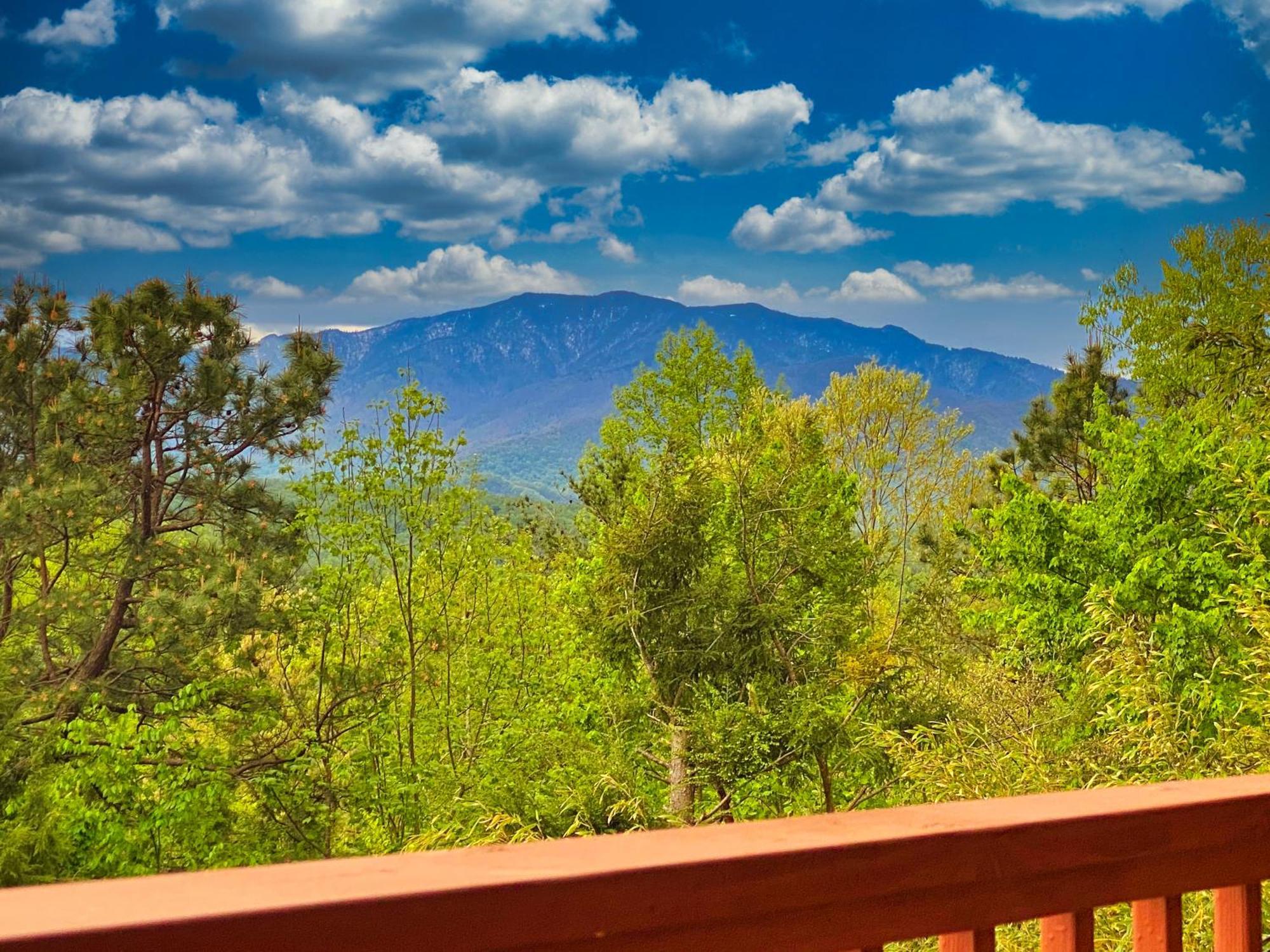 Amazing Views Villa Гетлинбург Стая снимка