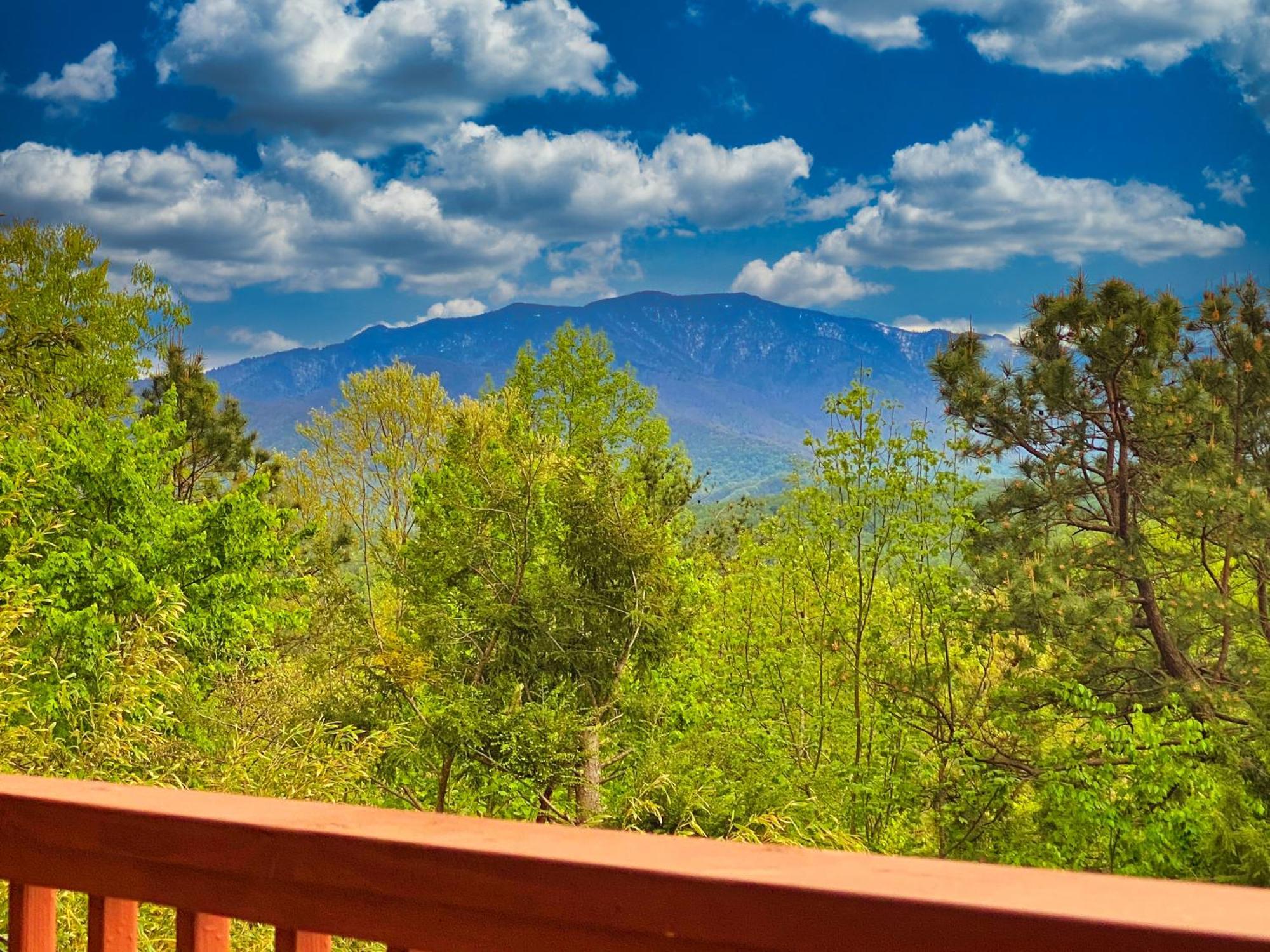Amazing Views Villa Гетлинбург Стая снимка